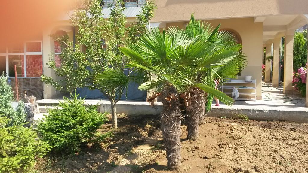 Къща За Гости Кадиеви بريمورسكو المظهر الخارجي الصورة
